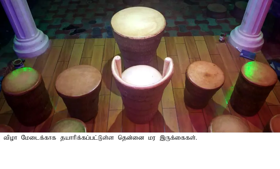  Coconut trees in the Gaja storm decorating ceremony stages !!